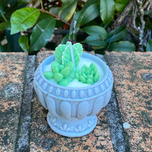 Load image into Gallery viewer, Wax Succulent Potted Scented Candle
