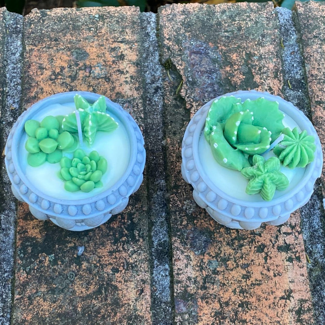 Wax Succulent Potted Scented Candle