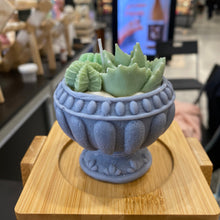 Load image into Gallery viewer, Wax Succulent Potted Scented Candle
